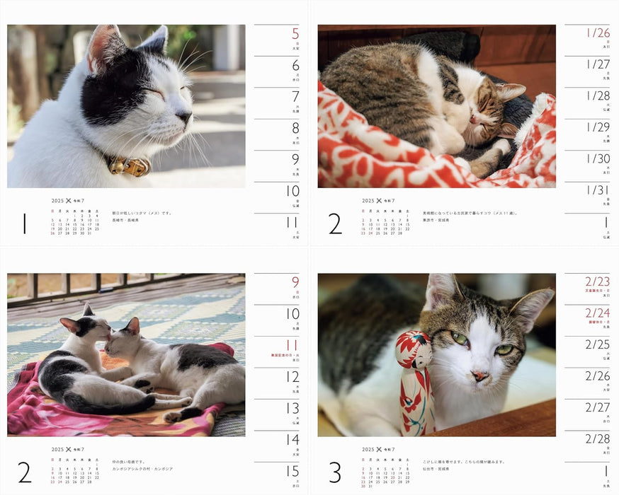 Calendar 2025 Mitsuaki Iwago x Cat (Weekly/Desk Ring Calendar) (Yama-kei Calendar 2025)