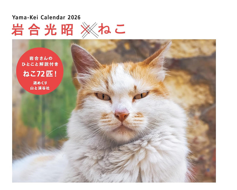 Calendar 2026 Mitsuaki Iwago x Cat (Weekly/Desk Ring Calendar) (Yama-kei Calendar 2026)