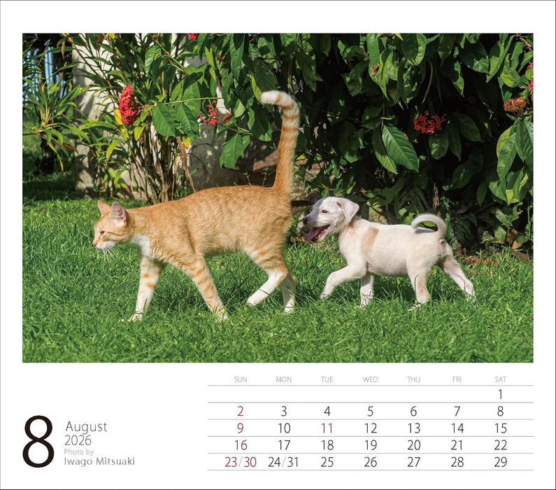 2026 Mini Calendar Mitsuaki Iwago Friends