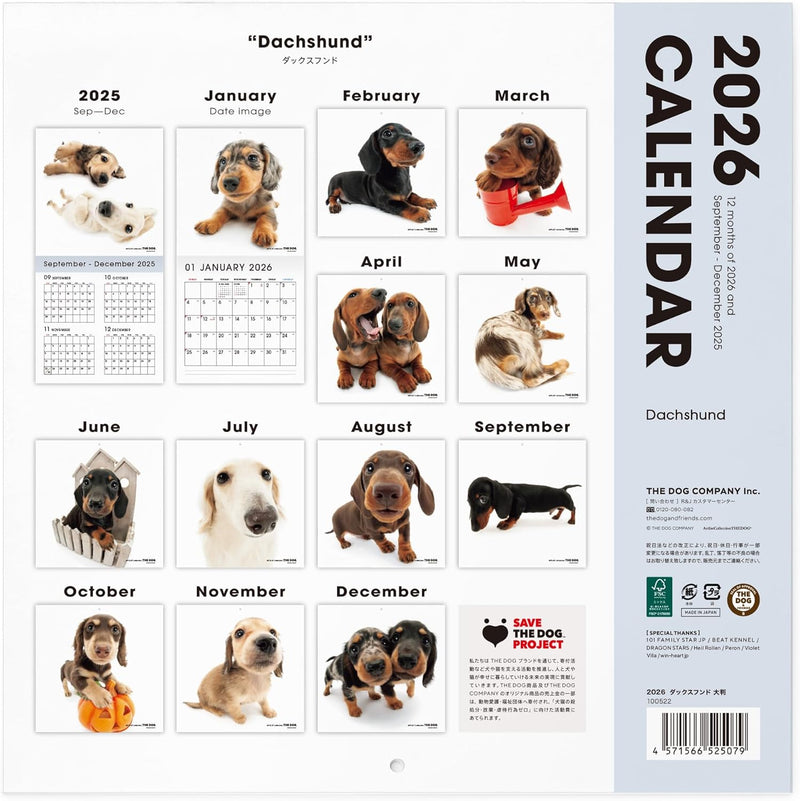THE DOG 2026 Wall Calendar Large Size [Dachshund]