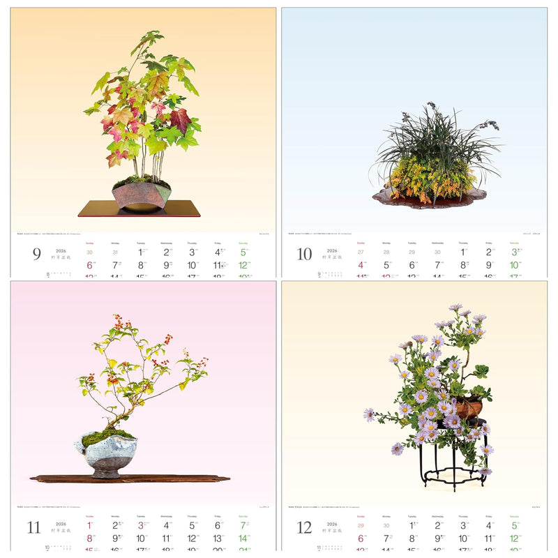 Todan 2026 Wall Calendar Wildflower Bonsai 53.5 x 38cm TD-819