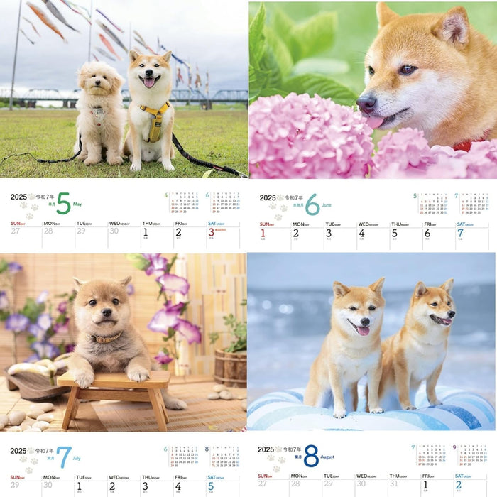 JTB Calendar Wanko 2025 Wall Calendar