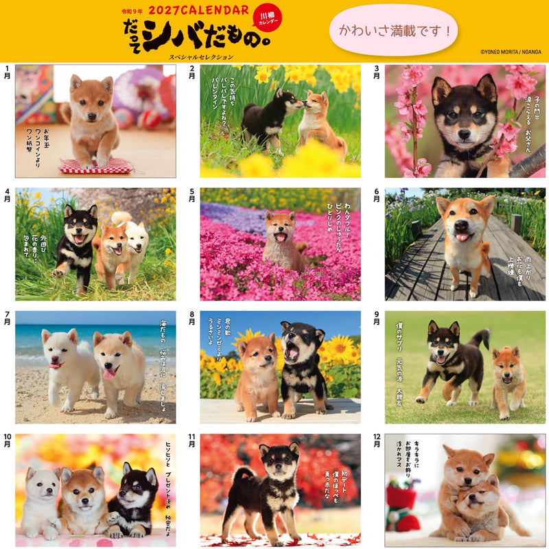 Active Corporation 2027 Wall Calendar Datte Shiba Damono. 27ACL-64