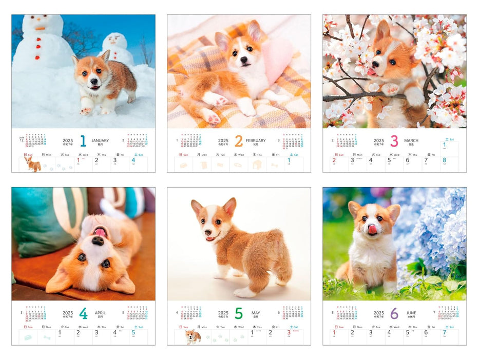 Calendar 2025 Soothing Welsh Corgis (Monthly/Wall Calendar) (Impress Calendar 2025)