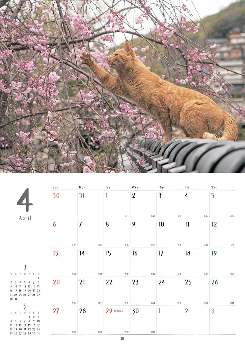 Street Corner Cats Calendar 2025 (Wall Calendar)