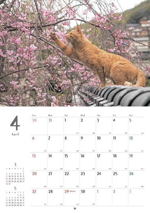 Street Corner Cats Calendar 2025 (Wall Calendar)