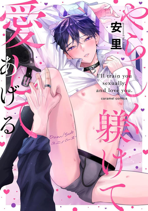 Yarashiku Shitsukete Aishite Ageru - Dom/Sub Universe -