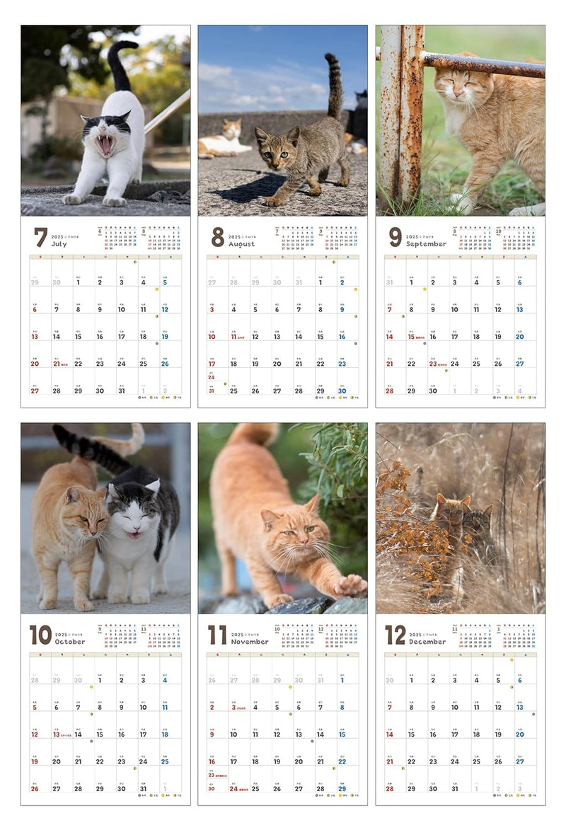 Carefree Cat Calendar 2025