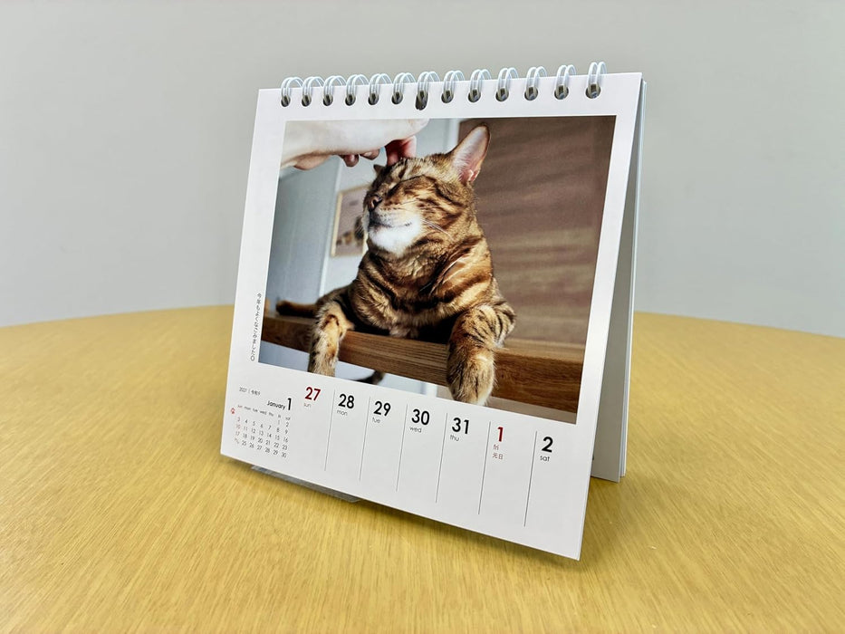 Yama-kei Calendar 2026 Nagomi Cat Weekly Calendar (Weekly Calendar / Desk / Ring)
