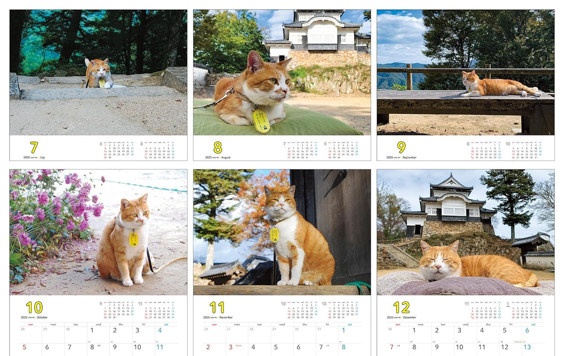 Sanjuro, Cat Lord of the Castle 2025 Calendar