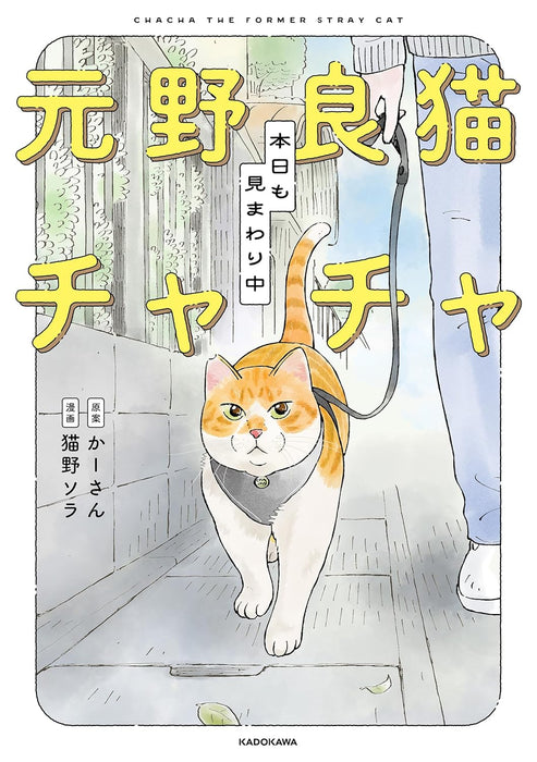 Moto Noraneko Chacha Honjitsu mo Mimawarichuu