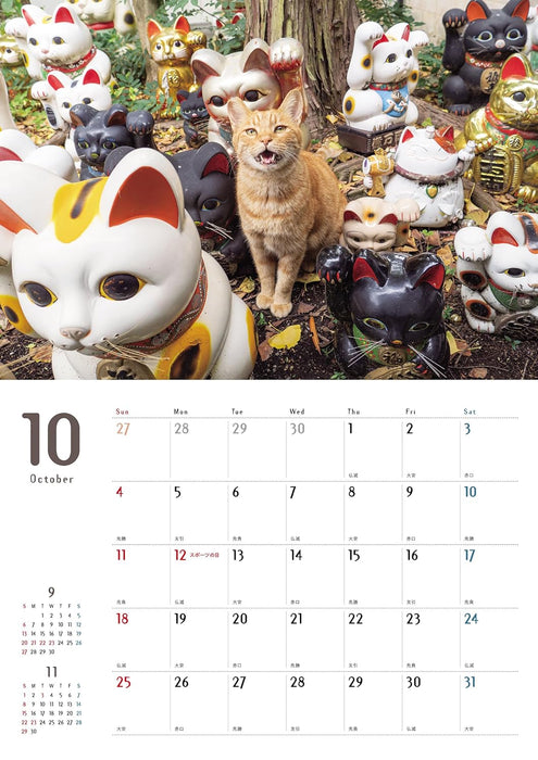 Street Corner Cats Calendar 2026 (Wall Calendar)