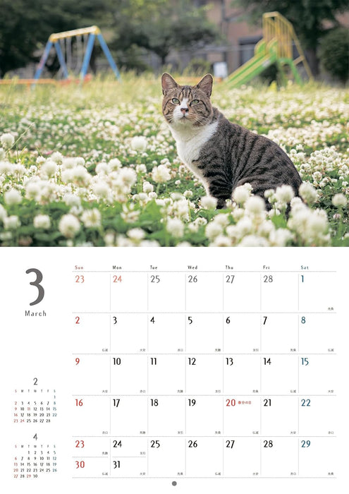 Street Corner Cats Calendar 2025 (Wall Calendar)