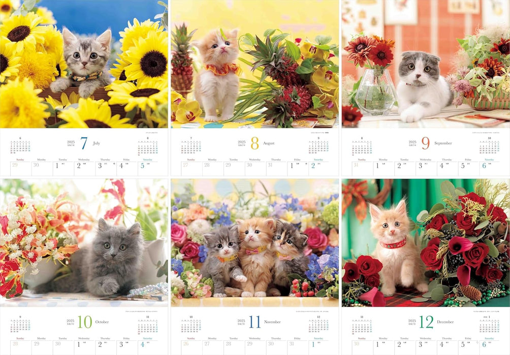 Calendar 2025 Beloved Kittens and Flowers (Monthly/Wall Calendar) (Yama-kei Calendar 2025)