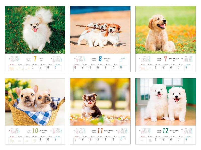 Calendar 2026 Fuwa Fuwa Wanko (Monthly/Wall Calendar) (Impress Calendar 2026)