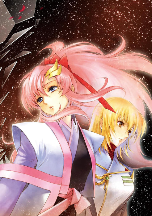 New Edition Mobile Suit Gundam SEED DESTINY THE EDGE Desire 2