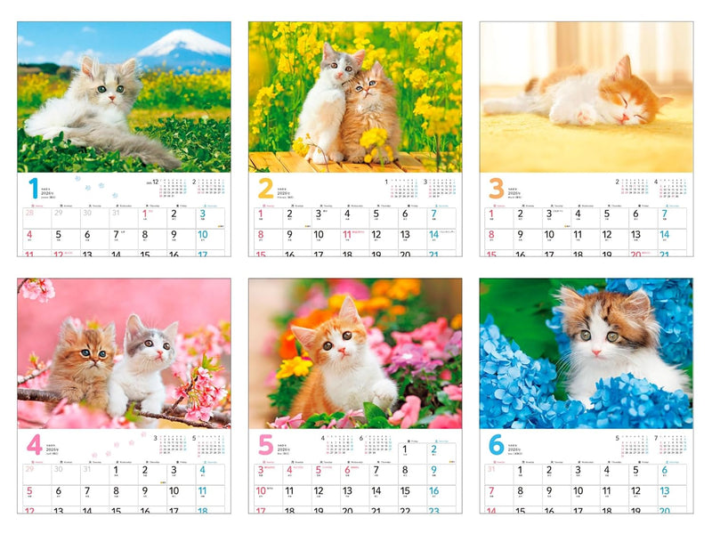Calendar 2026 Mofu Mofu Koneko (Monthly/Wall Calendar) (Impress Calendar 2026)