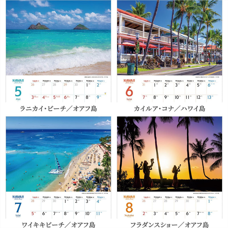 Shashin Koubou Calendar 'HAWAII Aloha Story' 2026 Wall Calendar (with Transparent Holder)