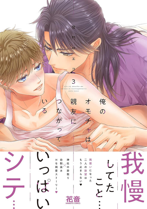 Ore no Omocha wa Shinyuu ni Tsunagatteiru 3