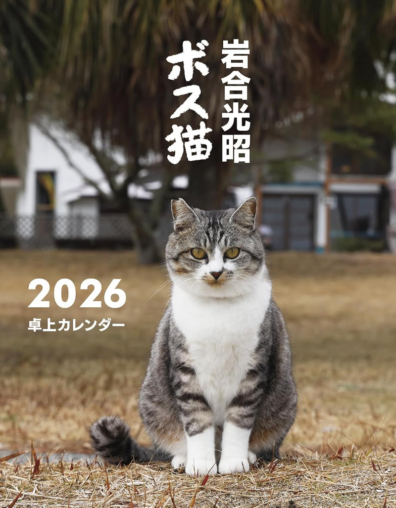 Mitsuaki Iwago Boss Cat Desk Calendar 2026