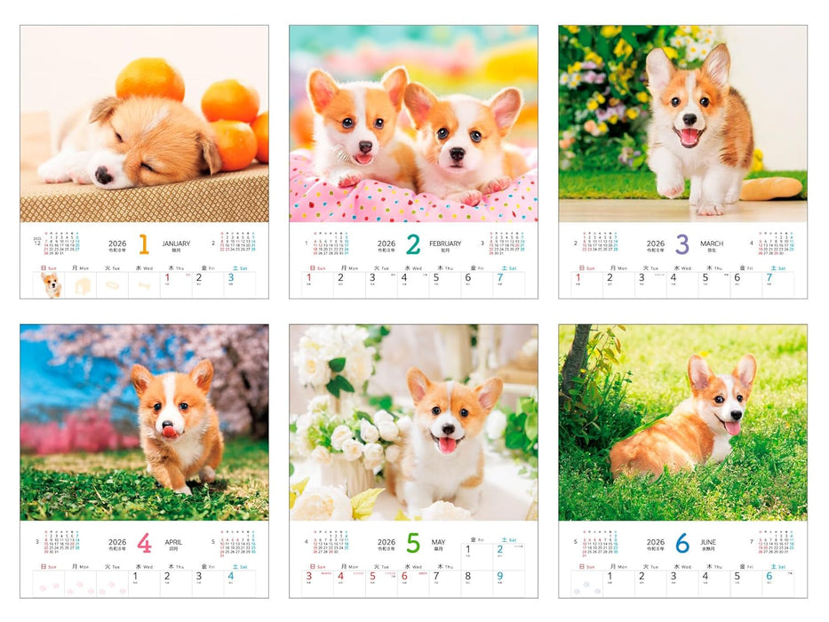 Calendar 2026 Soothing Welsh Corgis (Monthly/Wall Calendar) (Impress Calendar 2026)