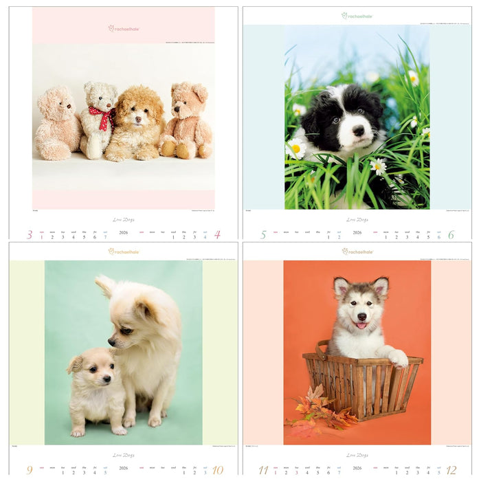 Todan 2026 Wall Calendar Love Dog - Rachel Hale Works - 53.5 x 38cm TD-933