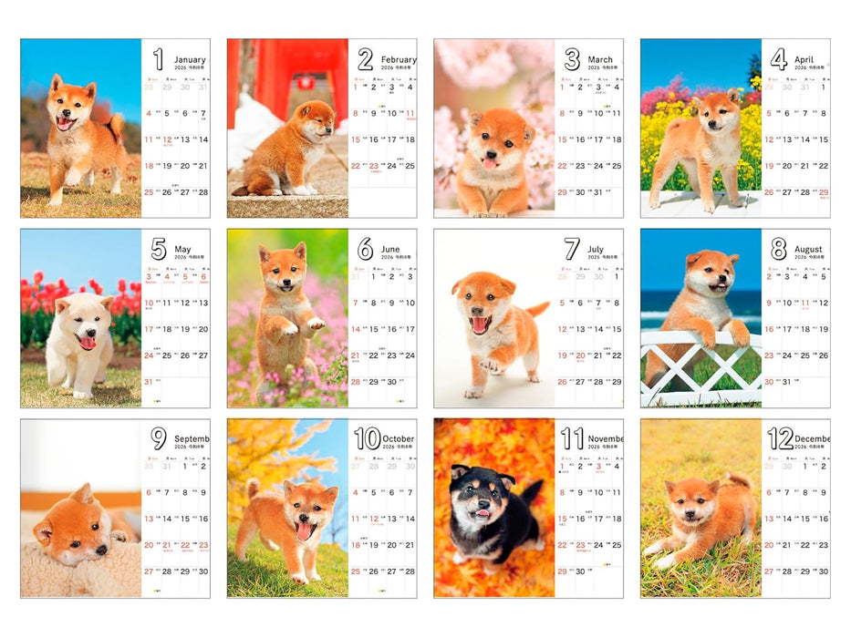 Shiba Inu Biyori mini 2026 Calendar (Impress Calendar 2026)