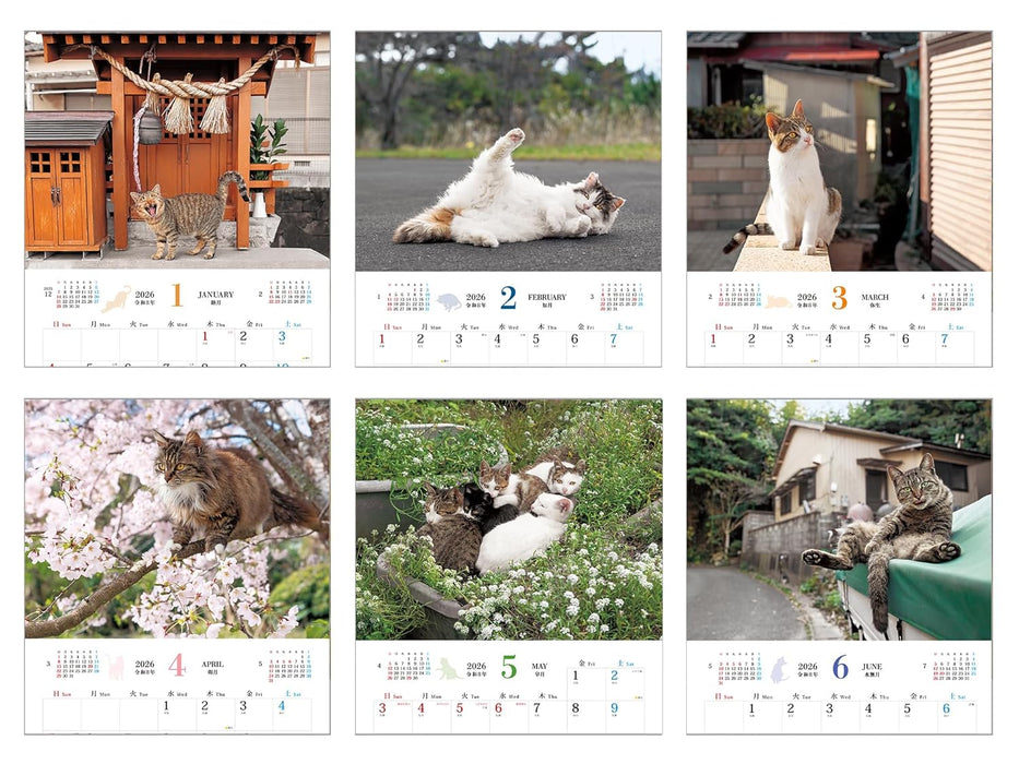 Calendar 2026 Soto Neko (Monthly/Wall Calendar) (Impress Calendar 2026)