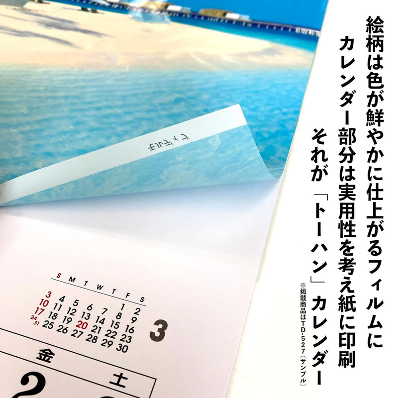Todan 2026 Wall Calendar Tsuboniwa Tohan DX Film 75 x 50.4cm TD-511