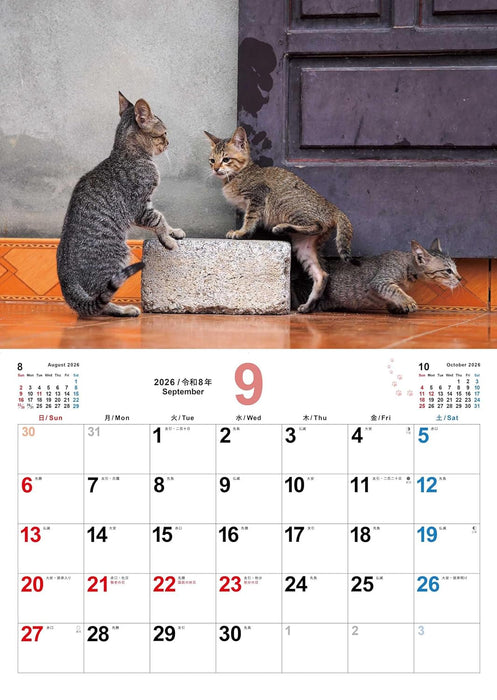 Koneko no Sekai 2026 Kitten Calendar S17