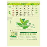 Todan 2025 Wall Calendar Green 3-Month eco M (From Top to Bottom Type / Perforated) 53.5 x 38cm TD-30940