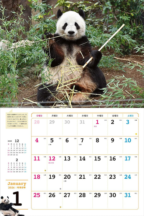 Hello Xiaoxiao Lei Lei 2026 Calendar