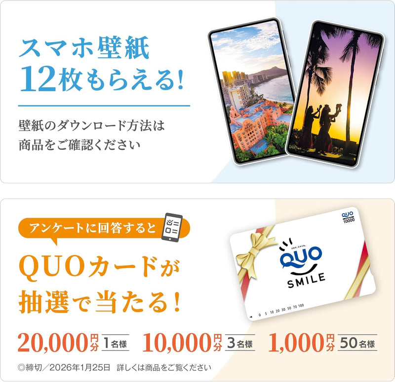 Shashin Koubou Calendar 'HAWAII Aloha Story' 2026 Desk Calendar 144 x 182mm