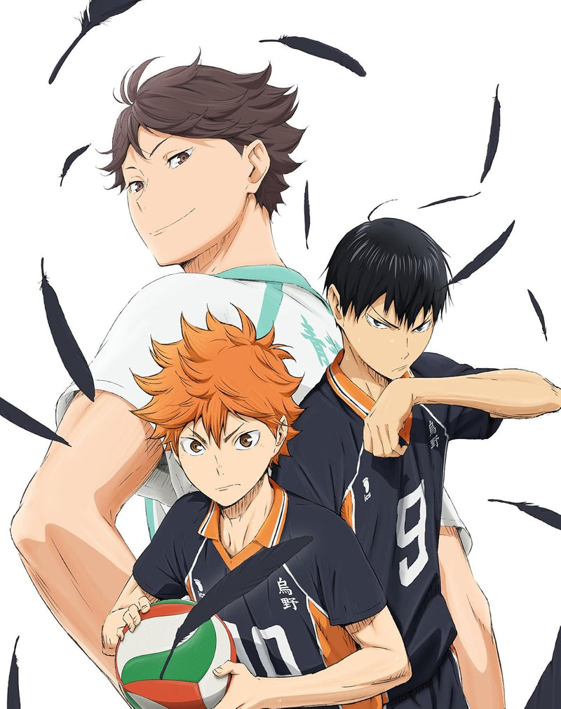 Haikyu!! Second Season Vol.3 (Limited First-Press Edition) [DVD]