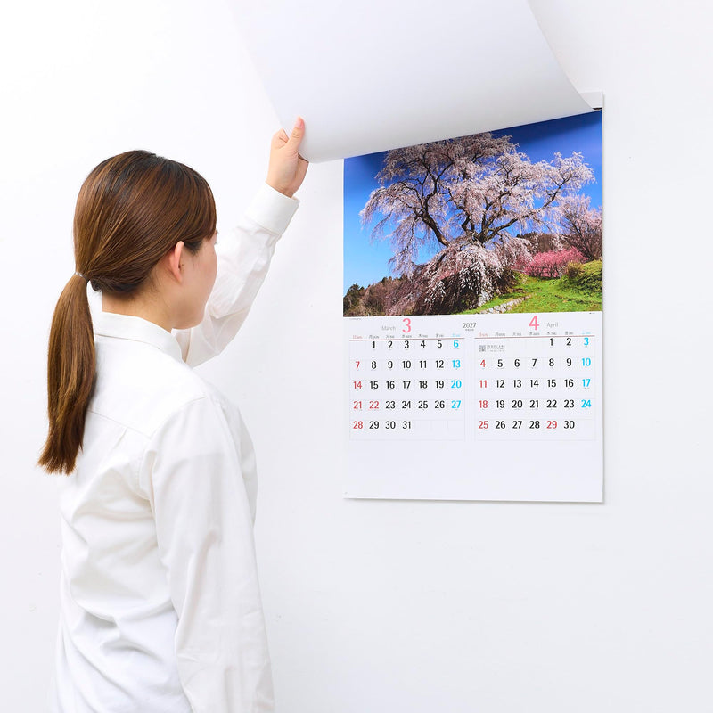 Innovator 2027 Wall Calendar L 31436006