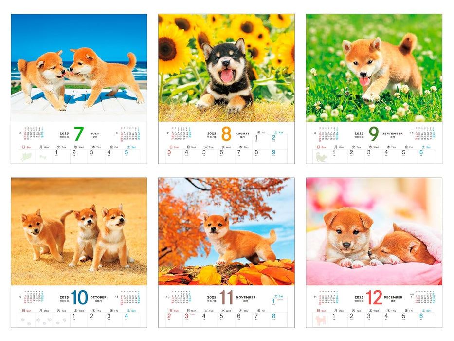 Calendar 2025 Shiba Inu Biyori (Monthly/Wall Calendar) (Impress Calendar 2025)