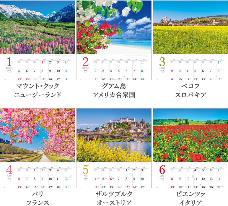 Shashin Koubou Wandering Around Botanical Fields 2025 Wall Calendar