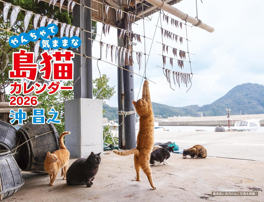 Masayuki Oki Playful and Free-Spirited Island Cat Calendar 2026 (Monthly/Wall Calendar)