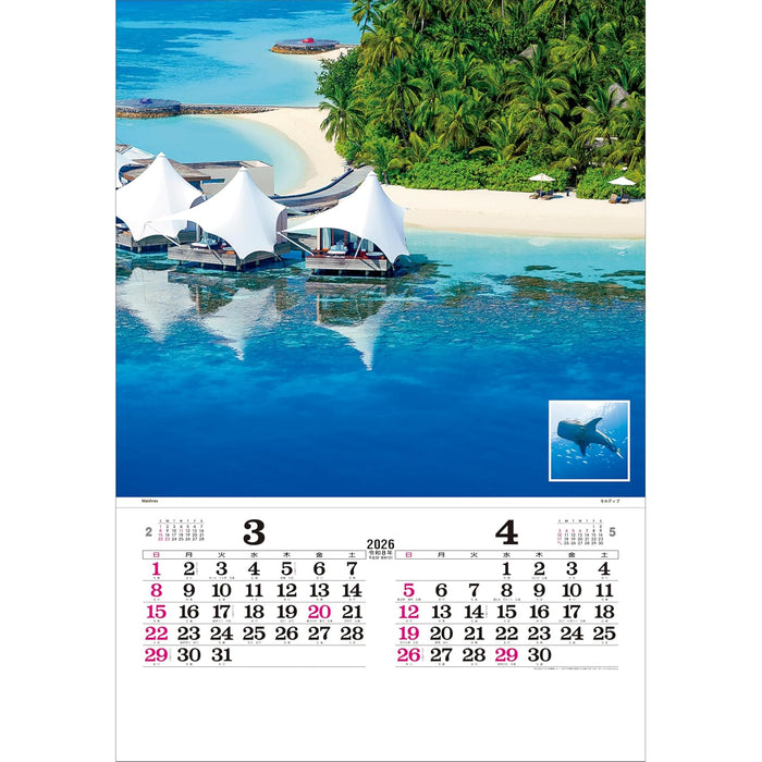 Todan 2026 Wall Calendar Marine Blue Tohan DX Film 75 x 50.4cm TD-527