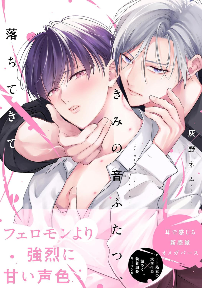Kimi no Ne Futatsu, Ochitekite