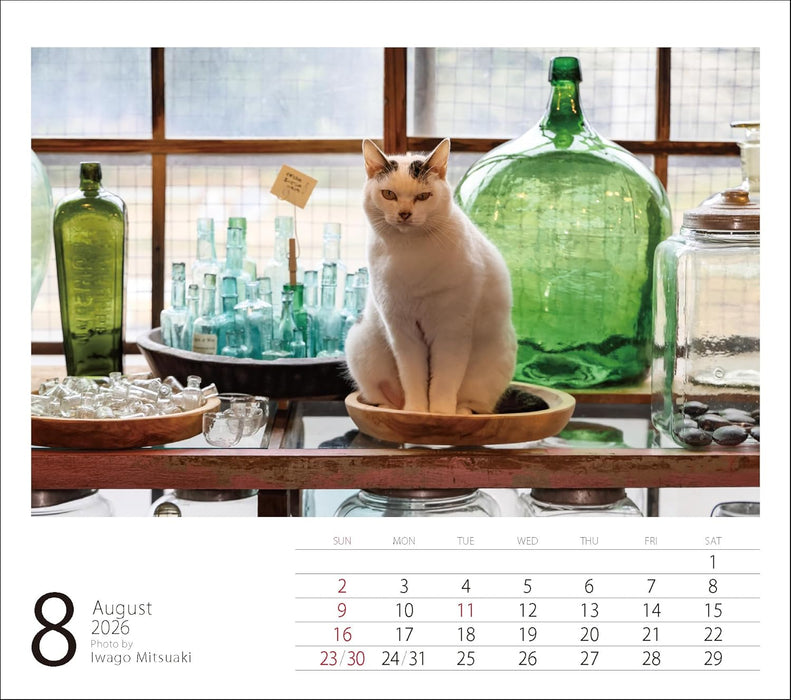 2026 Mini Calendar Mitsuaki Iwago Cats