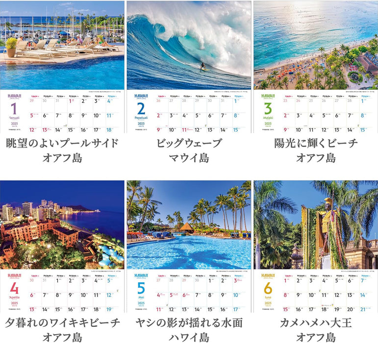 Shashin Koubou 'HAWAII Aloha Story' 2025 Wall Calendar (with Holder) 300 x 420mm