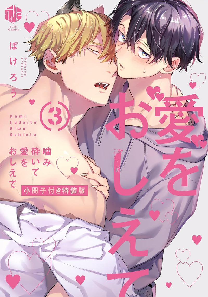 Kamikudaite Ai wo Oshiete 3 Special Edition with Booklet