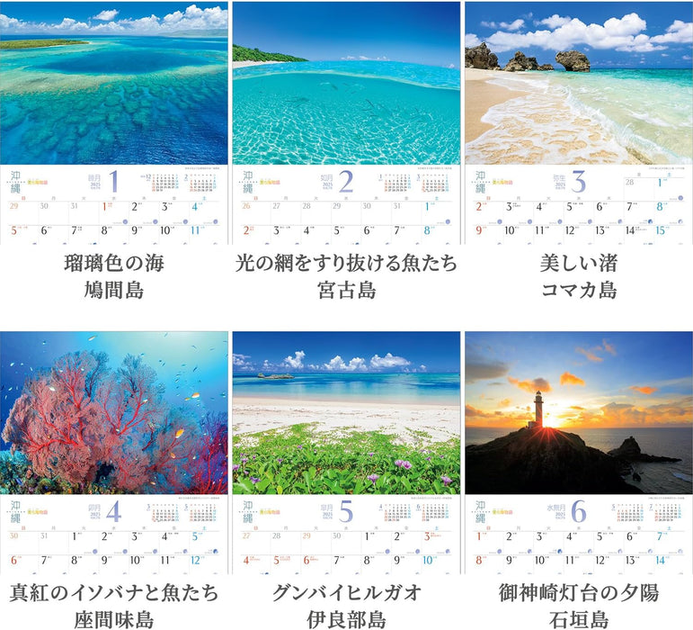 Shashin Koubou 'Okinawa Churaumi Monogatari' 2025 Wall Calendar (with Holder) 300 x 420mm