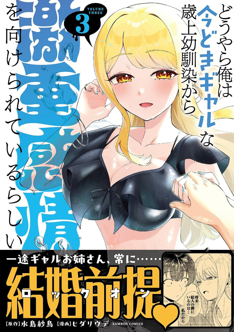 Douyara Ore wa Imadoki Gal na Toshiue Osananajimi kara Gekiomo Kanjou wo Mukerareteiru Rashii 3