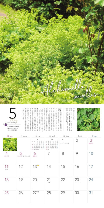 Ogihara Plant Garden Perennial 2025 Wall Calendar