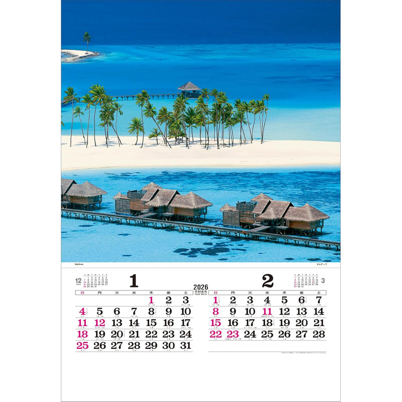 Todan 2026 Wall Calendar Marine Blue Tohan DX Film 75 x 50.4cm TD-527