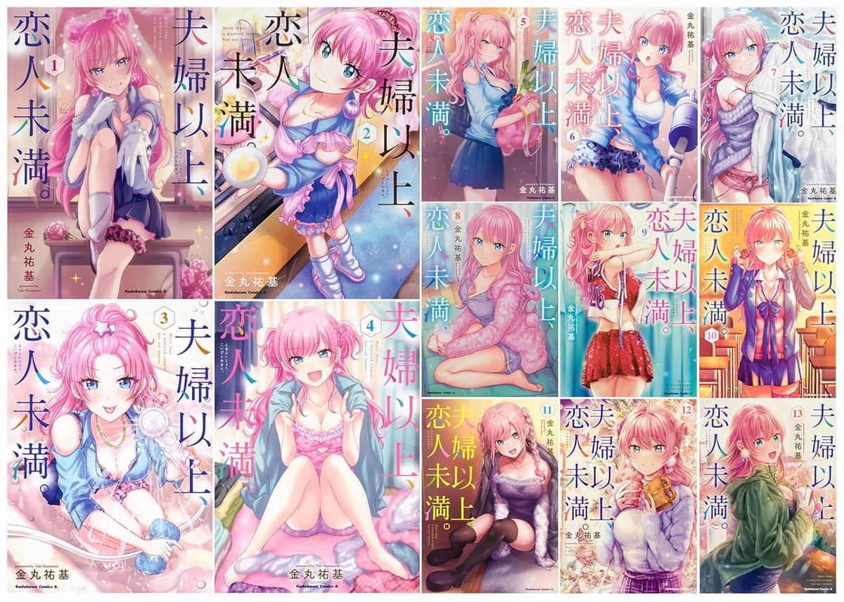 Fuufu Ijou Koibito Miman Novel