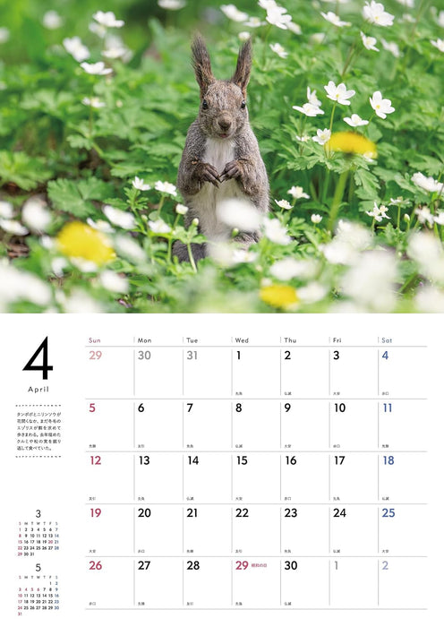 Adorable Wildlife of the Northern Forest Calendar 2026 (Wall Calendar)