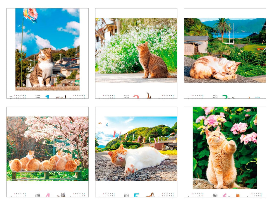 Calendar 2025 Nonbiri Shima Nyan CALENDAR (Monthly/Wall Calendar) (Impress Calendar 2025)